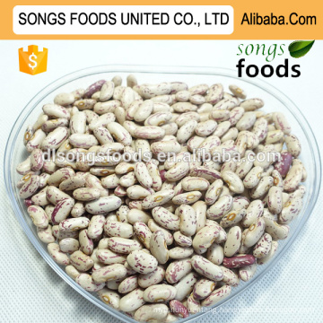 Good Price Long Shape Light Speckled Kidney Beans Sugar Beans